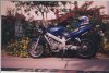 fs_6980.jpg