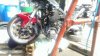 IMAG0983.jpg
