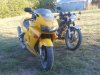 DSCN9523.jpg