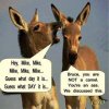 An Ass not a Camel.jpg