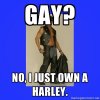Harleyfag2.jpg