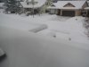 IMGP0932.jpg