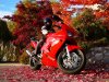 Dad And Liam 2013 Fall Ride (1).jpg