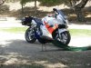 IMGP1116.jpg