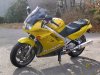 91yellowveefer_004.jpg