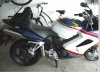 Mounted on Back.jpg