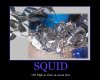 squid.jpg