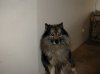 NANOOK3.jpg