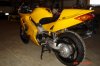 DSC00928.jpg
