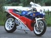 HondaRC30Portrait7.jpg