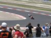 IMG_2947.jpg