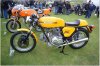 duc_1.jpg