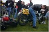 duc_4.jpg
