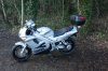 DSC09999.jpg