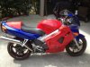 vfr800_1.jpg