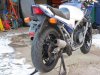 IMG_1772 11-27-13.jpg