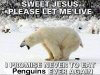 polar bear poo.jpg