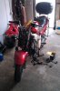IMAG0045.jpg