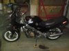 WP_000572.jpg