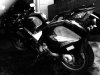 photo (2).jpg