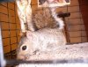 IMG_2205.jpg