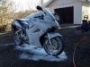 IMG_0356 (Custom).jpg