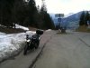 IMG_7175.jpg