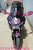 Pink VFR-7.jpg
