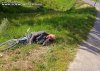Untitled_attachment_004061.jpg