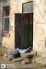 Untitled_attachment_004123.jpg