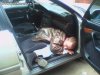 Untitled_attachment_004185.jpg