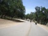 DSC06471.jpg