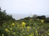 DSC06508.jpg