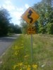 20140531_153715.jpg
