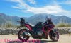 Pink VFR-15.jpg