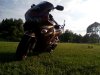 IMG_20140421_183942.jpg