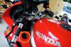 DSC_3951_zps1fac84f4.jpg