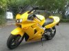 IMAG0148_edited.jpg