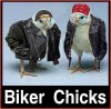 biker chicks.jpg