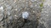 20140414_172759_resized.jpg