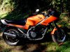 bike1.jpg