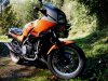 bike2.jpg