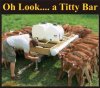 Titty Bar.jpg