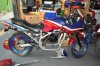DSC_1518.jpg