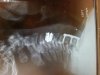 uploadfromtaptalk1416360071706.jpg