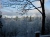 SDC10348.jpg