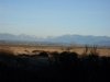 SDC10388.jpg