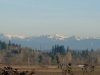 SDC10390.jpg