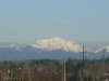 SDC10392.jpg