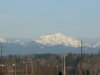 SDC10396.jpg